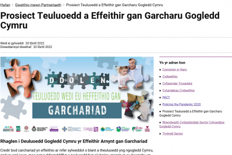 Screenshot of a Council Platform page in Welsh